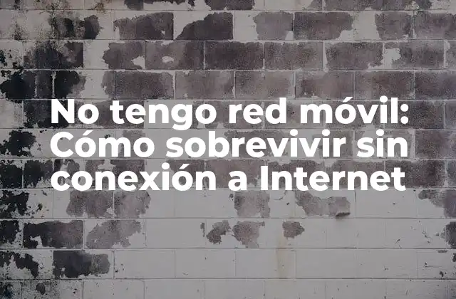 No Tengo Red Móvil: Cómo Sobrevivir sin Conexión a Internet
