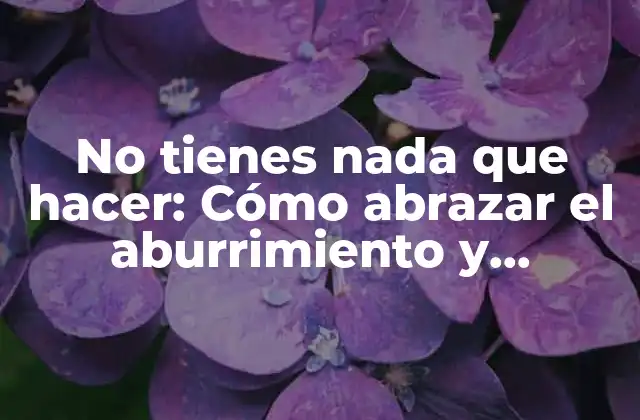 No Tienes Nada que Hacer: Cómo Abrazar el Aburrimiento y Encontrar la Paz Mental 2 El mito de la productividad constante