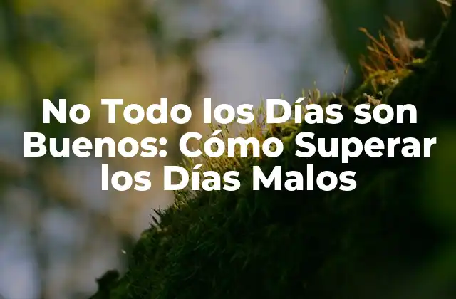 No Todo los Días Son Buenos: Cómo Superar los Días Malos