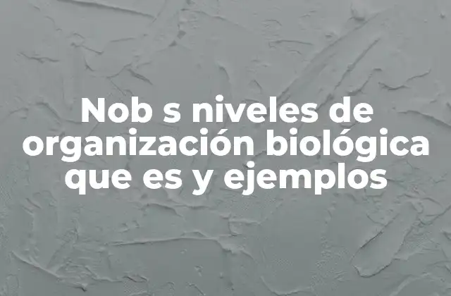 Nob S Niveles de Organización Biológica que es y Ejemplos