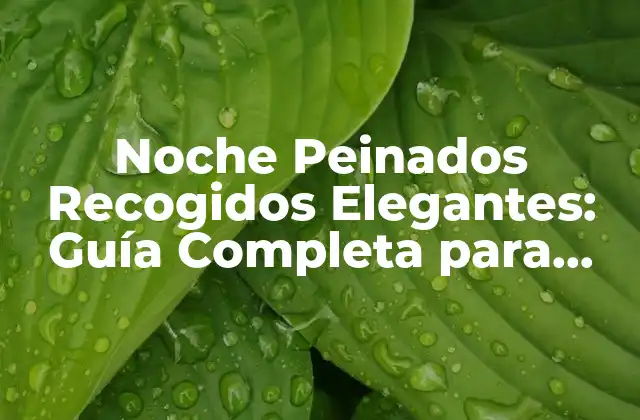 Noche Peinados Recogidos Elegantes: Guía Completa para una Velada Inolvidable