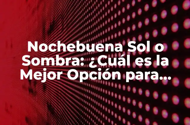 Nochebuena Sol o Sombra: ¿cuál es la Mejor Opción para Decorar Tu Hogar?