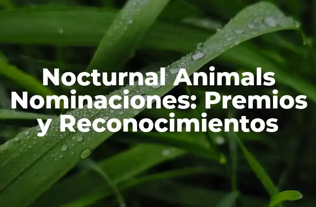 Nocturnal Animals Nominaciones: Premios y Reconocimientos