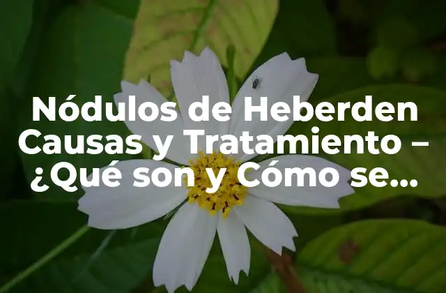 ¿Qué son los Nódulos de Heberden?