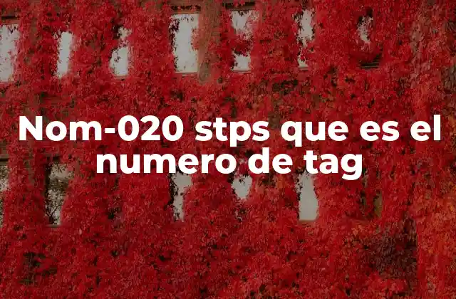 Nom-020 Stps que es el Numero de Tag
