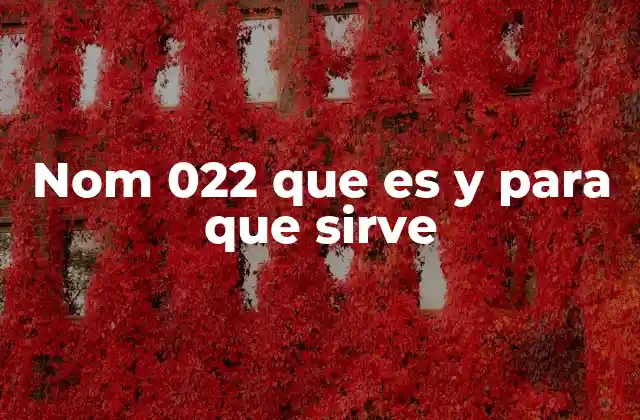 Nom 022 que es y para que Sirve