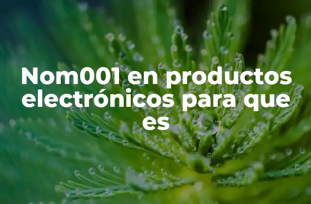 Nom001 en Productos Electrónicos para que es 2 La importancia de las normas de seguridad en electrónica