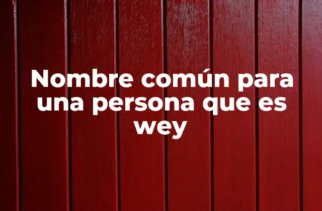 Nombre Común para una Persona que es Wey