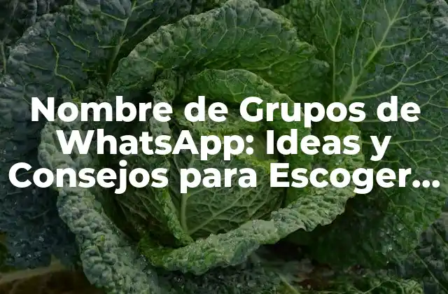 Nombre de Grupos de Whatsapp: Ideas y Consejos para Escoger el Mejor