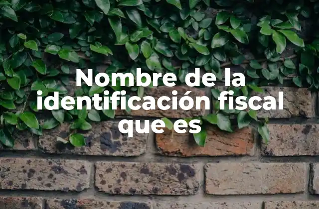 Nombre de la Identificación Fiscal que es