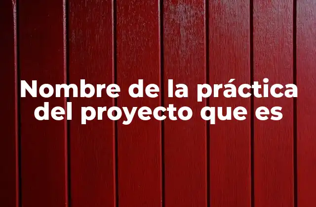 Nombre de la Práctica Del Proyecto que es