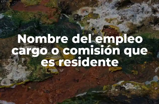 Nombre Del Empleo Cargo o Comisión que es Residente 2 La importancia de la residencia en el desempeño laboral