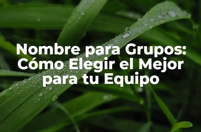 ¿Por qué es Importante Elegir un Buen Nombre para Grupos?