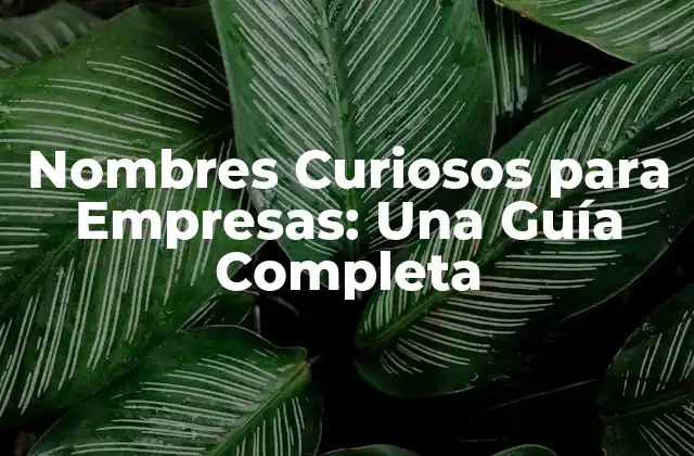Nombres Curiosos para Empresas: una Guía Completa