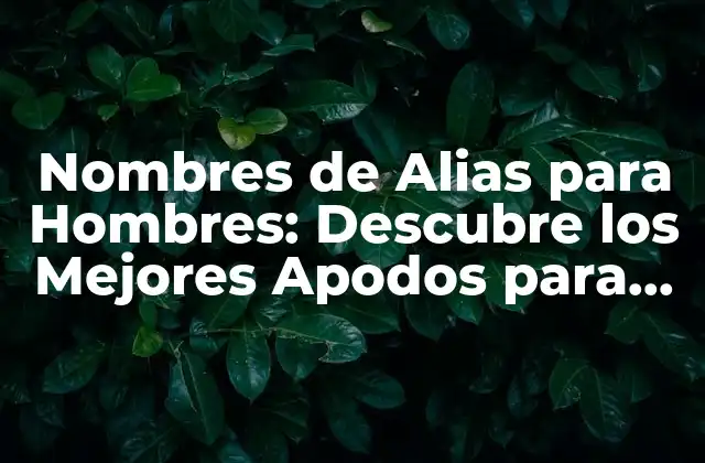 Nombres de Alias para Hombres: Descubre los Mejores Apodos para los Hombres