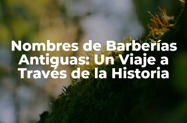 Nombres de Barberías Antiguas: un Viaje a Través de la Historia