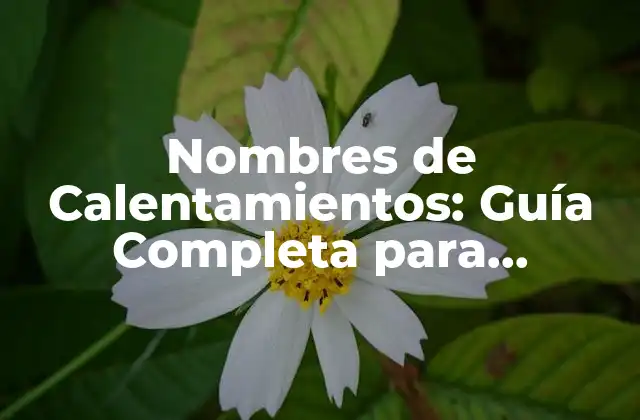 Nombres de Calentamientos: Guía Completa para Entrenadores y Deportistas