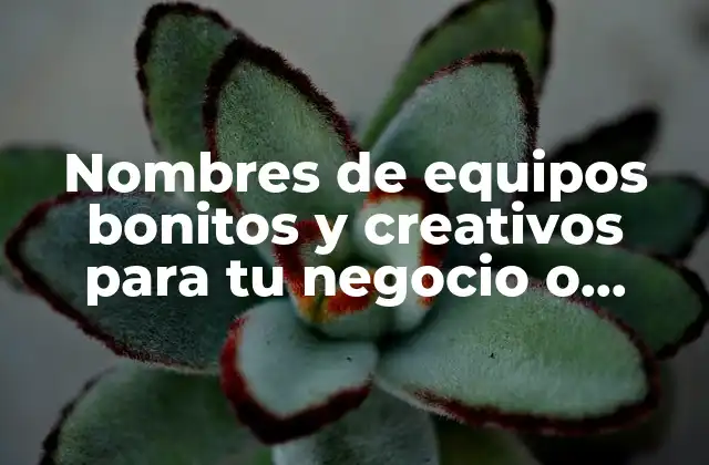 ¿Por qué son importantes los nombres de equipos bonitos?