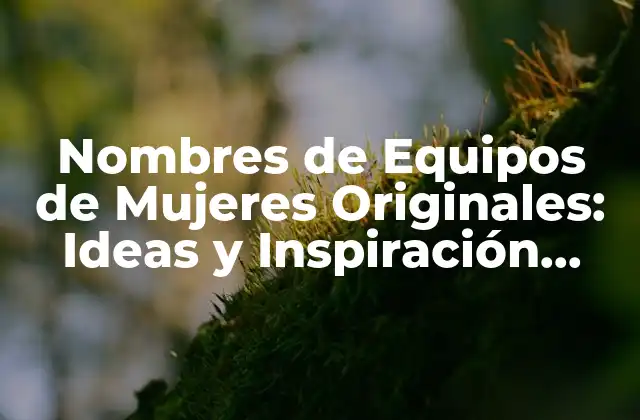 Nombres de Equipos de Mujeres Originales: Ideas y Inspiración para Tu Próximo Equipo