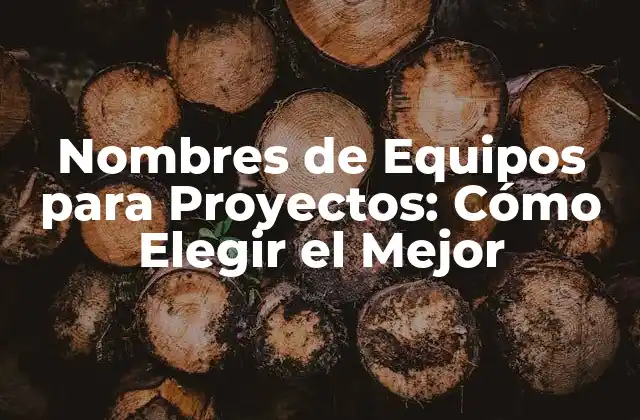 Nombres de Equipos para Proyectos: Cómo Elegir el Mejor