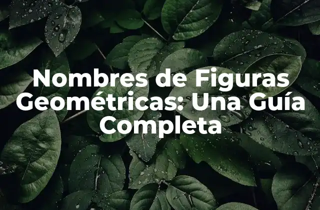 Nombres de Figuras Geométricas: una Guía Completa