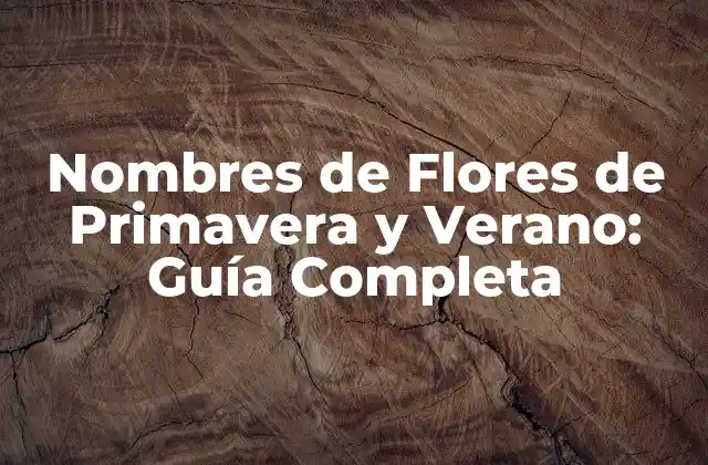Nombres de Flores de Primavera y Verano: Guía Completa