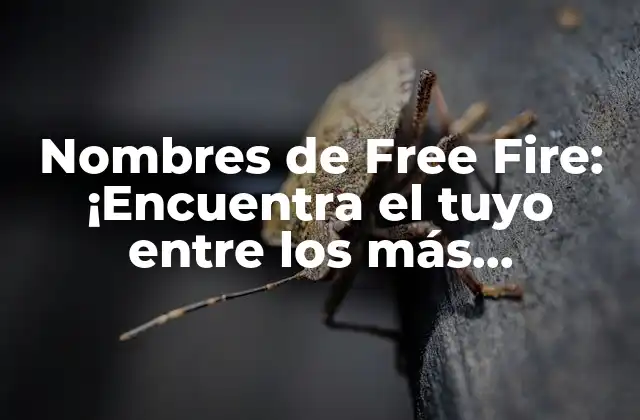 Nombres de Free Fire: ¡encuentra el Tuyo entre los Más Populares!