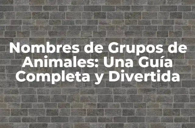 Nombres de Grupos de Animales: una Guía Completa y Divertida