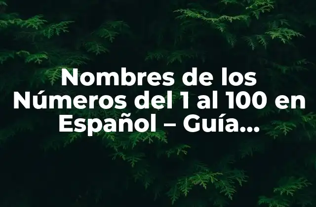 Nombres de los Números Del 1 Al 100 en Español – Guía Completa