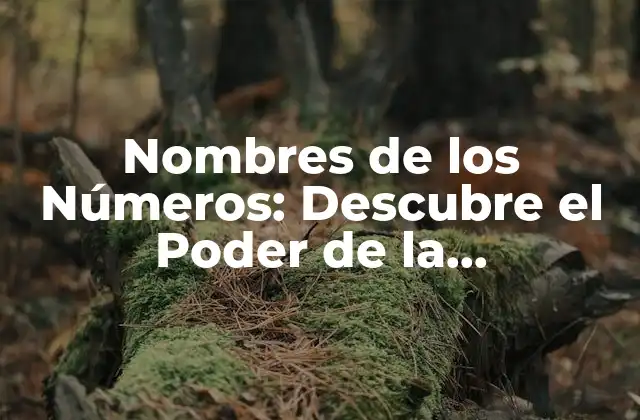 Nombres de los Números: Descubre el Poder de la Numerología