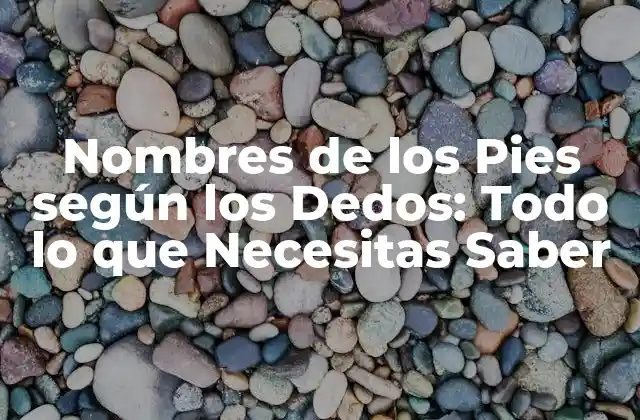 Nombres de los Pies según los Dedos: Todo Lo que Necesitas Saber