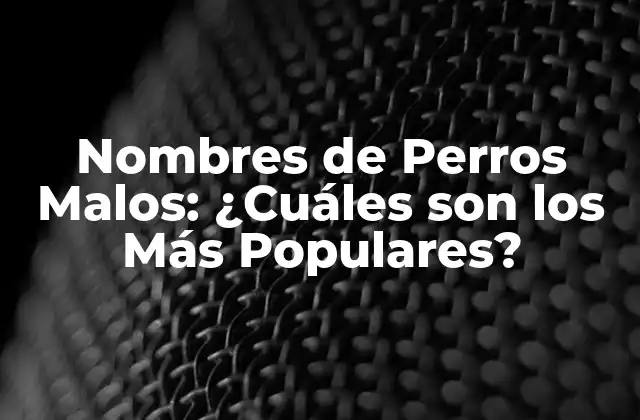 Nombres de Perros Malos: ¿cuáles Son los Más Populares?