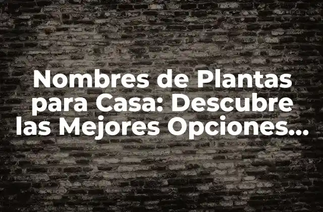 Nombres de Plantas para Casa: Descubre las Mejores Opciones para Tu Hogar