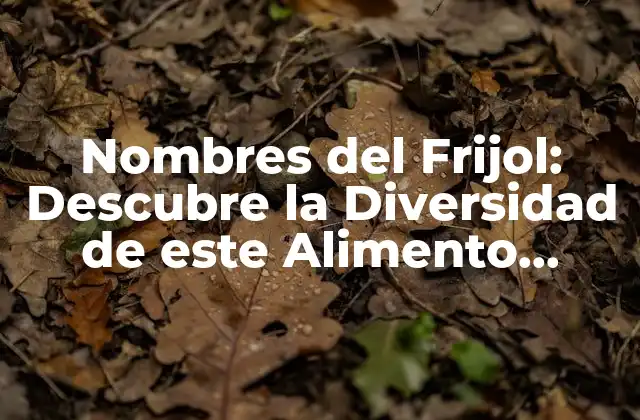Nombres Del Frijol: Descubre la Diversidad de Este Alimento Esencial