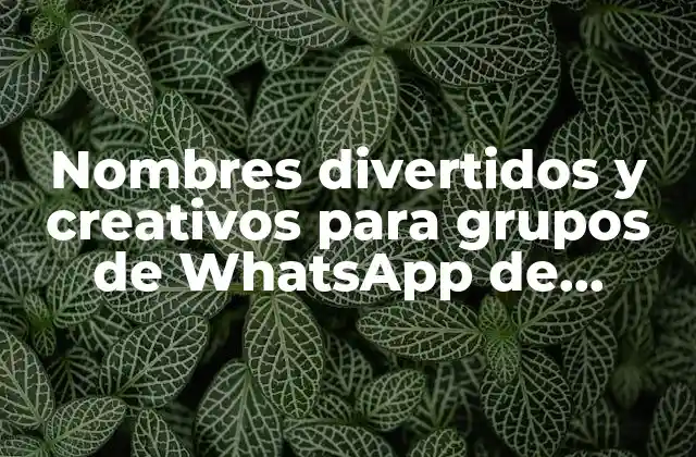 Nombres Divertidos y Creativos para Grupos de Whatsapp de Amigos