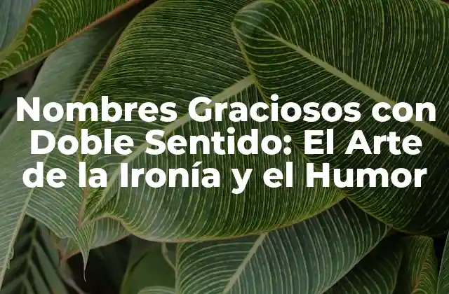 Nombres Graciosos con Doble Sentido: el Arte de la Ironía y el Humor