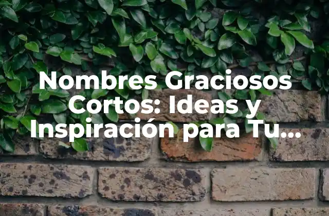 Nombres Graciosos Cortos: Ideas y Inspiración para Tu Nuevo Apodo
