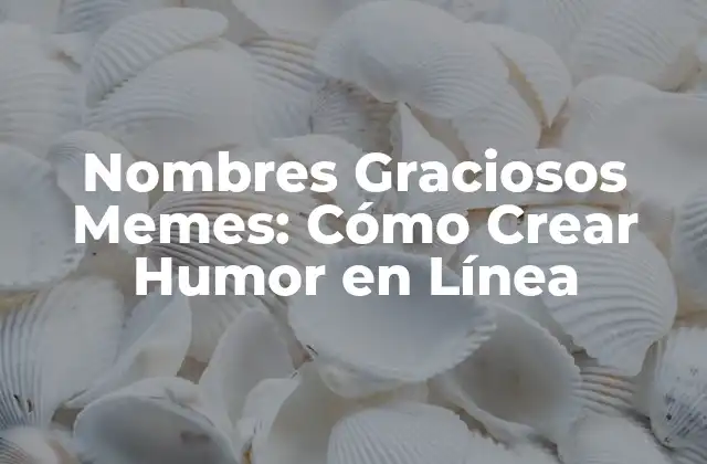 Nombres Graciosos Memes: Cómo Crear Humor en Línea 2 ¿Qué son los Nombres Graciosos Memes?