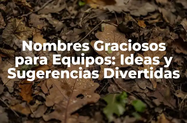 Nombres Graciosos para Equipos: Ideas y Sugerencias Divertidas