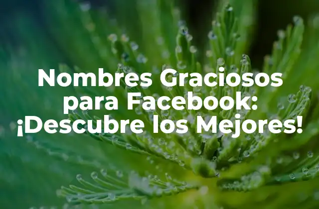 Nombres Graciosos para Facebook: ¡descubre los Mejores!