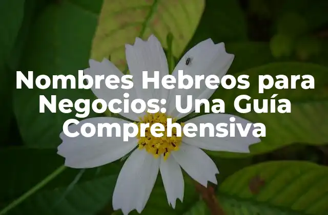 Significado y Origen de los Nombres Hebreos