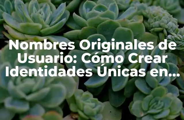 Nombres Originales de Usuario: Cómo Crear Identidades Únicas en Línea