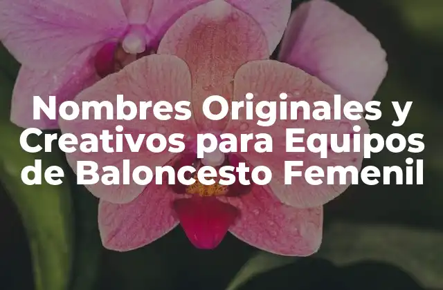 Nombres Originales y Creativos para Equipos de Baloncesto Femenil