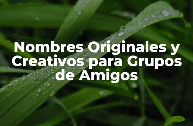 Nombres Originales y Creativos para Grupos de Amigos