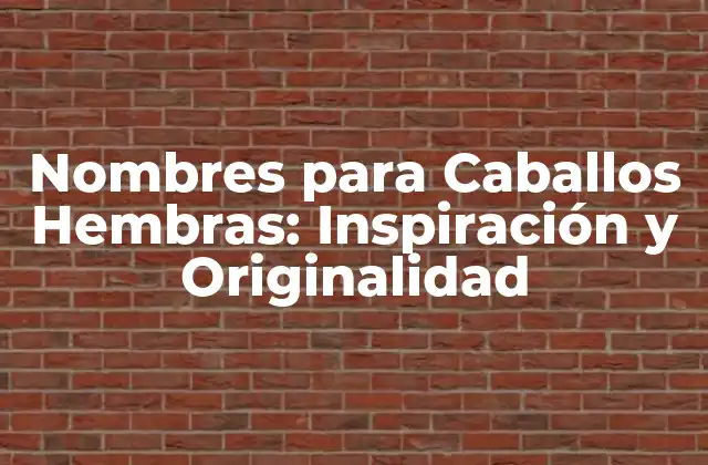 Nombres para Caballos Hembras: Inspiración y Originalidad