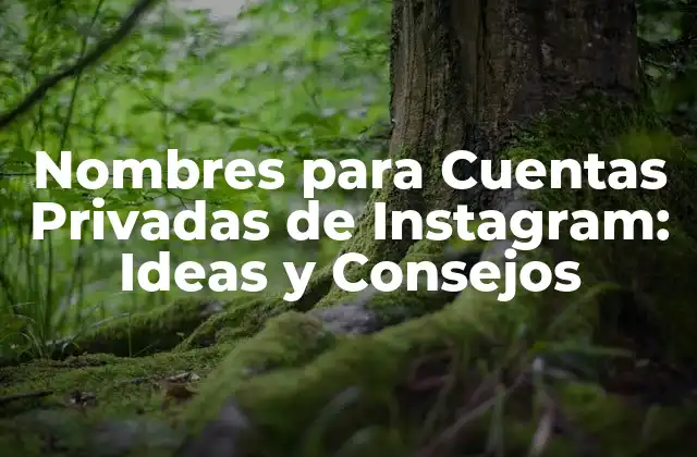 Nombres para Cuentas Privadas de Instagram: Ideas y Consejos