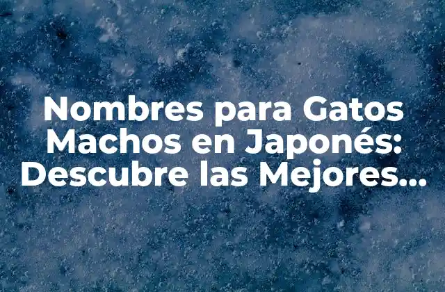 Nombres para Gatos Machos en Japonés: Descubre las Mejores Opciones