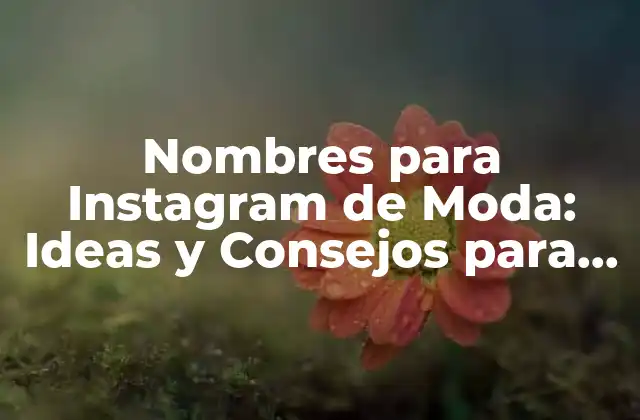 Nombres para Instagram de Moda: Ideas y Consejos para Tu Cuenta de Fashion