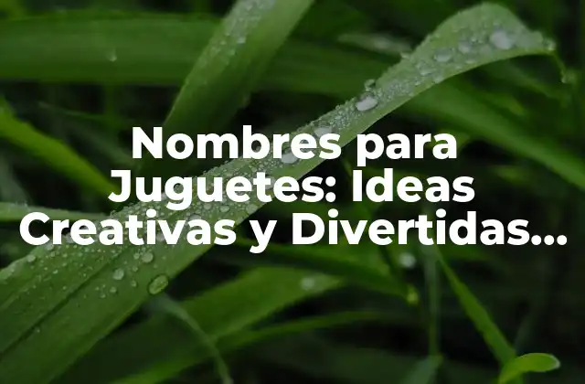Nombres para Juguetes: Ideas Creativas y Divertidas para Tus Creaciones