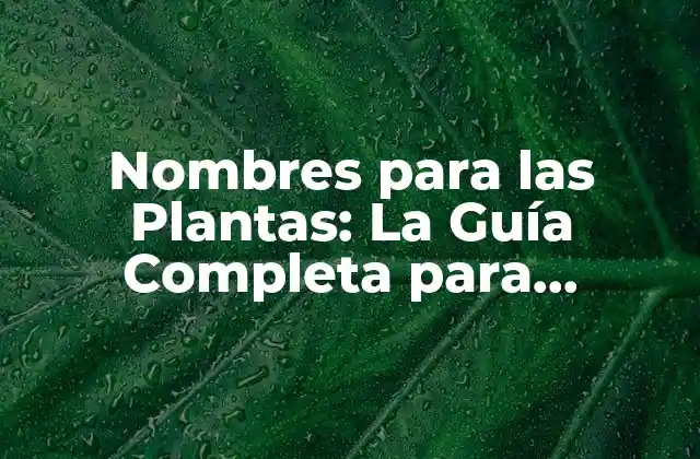 Nombres para las Plantas: la Guía Completa para Identificar y Nombrar Tus Especies Favoritas